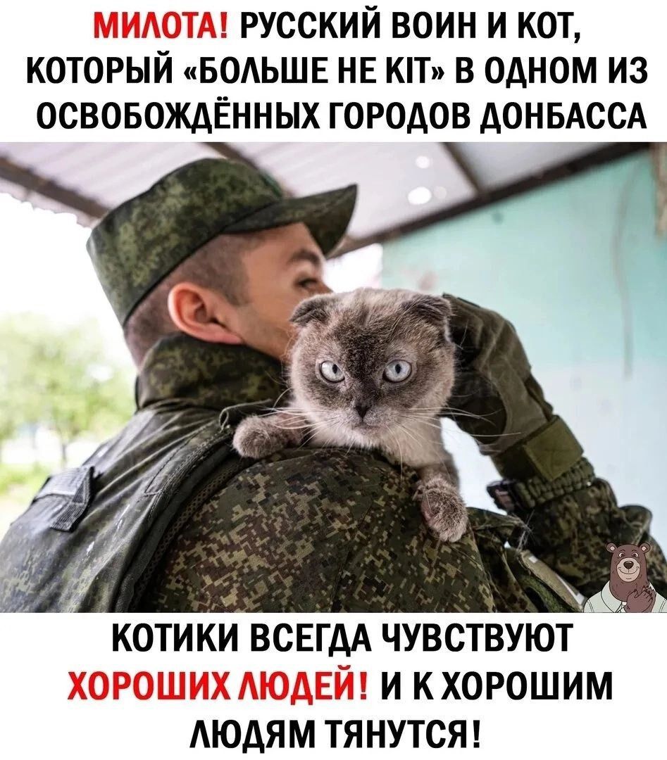 1 РУССКИЙ ВОИН И КОТ КОТОРЫИ БОЛЬШЕ НЕ КП В ОДНОМ ИЗ ОСВОБОЖДЁННЫХ ГОРОДОВ ДОНБАССА КОТИКИ ВСЕГАА ЧУВСТВУЮТ И КХОРОШИМ МЮДЯМ ТЯНУТСЯ