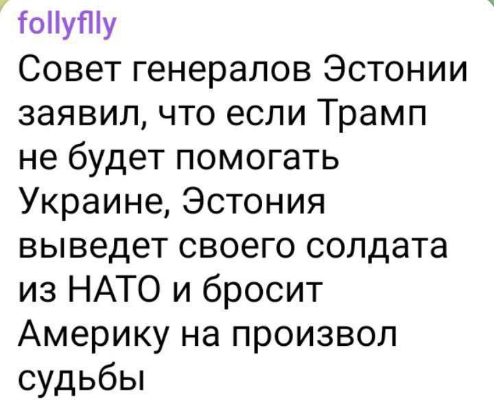 ТоПу у Совет генералов Эстонии заявил что если Трамп не будет помогать Украине Эстония выведет своего солдата из НАТО и бросит Америку на произвол судьбы