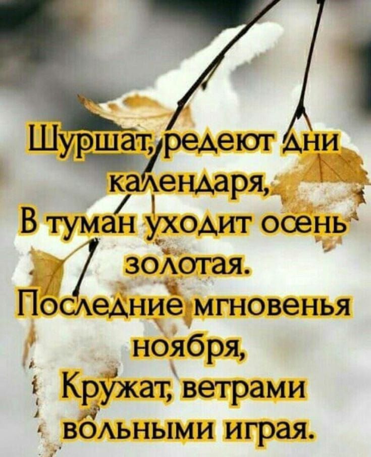 шат редеют А ни каендаряБ В тумаі ходит ооёНь зодогая Посдедниедмгновенья ноября Кружат ветрами вомными играя