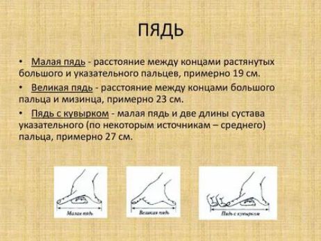 ПЯДЬ Малая пядь расстояние между концами растянутых большого и указательного пальцев примерно 19 см Великая пядь расстояние между концами большого пальца и мизинца примерно 23 см Пядь скувырком малая пядь и две длины сустава указательного по некоторым источникам среднего пальца примерно 27 см