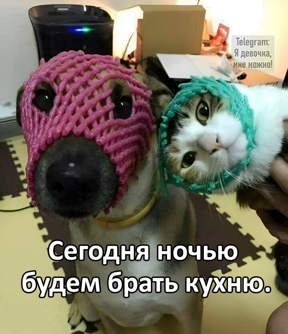 Сегодняночью будем брать куіхі н ію