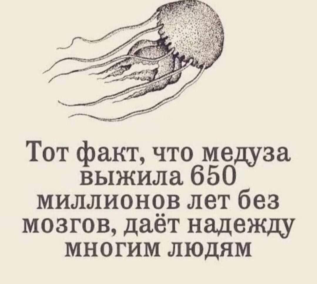 Тот факт что медуза выжила 650 миллионов лет без мозгов даёт надежду МНОГИМ ЛЮДЯМ