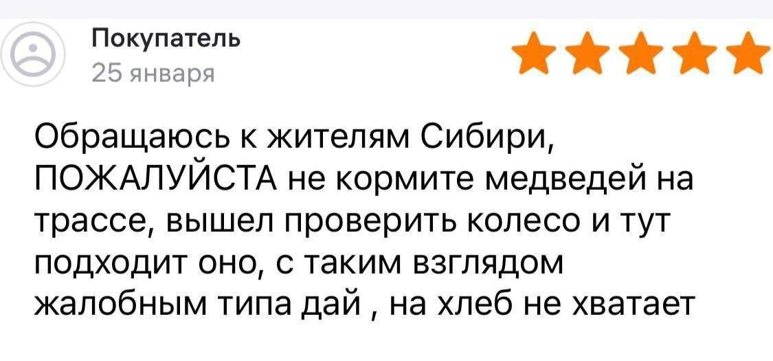 об лнваря ЖАЖИМ Обращаюсь к жителям Сибири ПОЖАЛУЙСТА не кормите медведей на трассе вышел проверить колесо и тут подходит оно с таким взглядом жалобным типа дай на хлеб не хватает