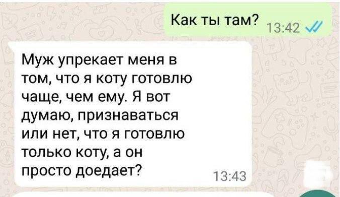 Как ты там?

Муж упрекает меня в том, что я коту готовлю чаще, чем ему. Я вот думаю, признаваться или нет, что я готовлю только коту, а он просто доедает?