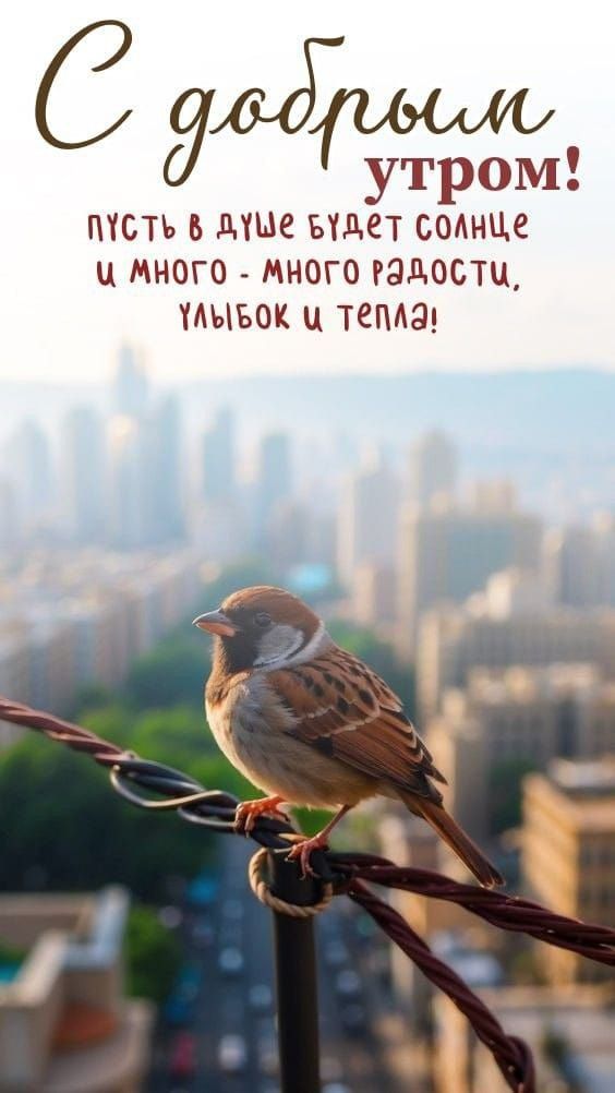 С добрым утром! пусть в душе будет солнце и много - много радости, улыбок и тепла!