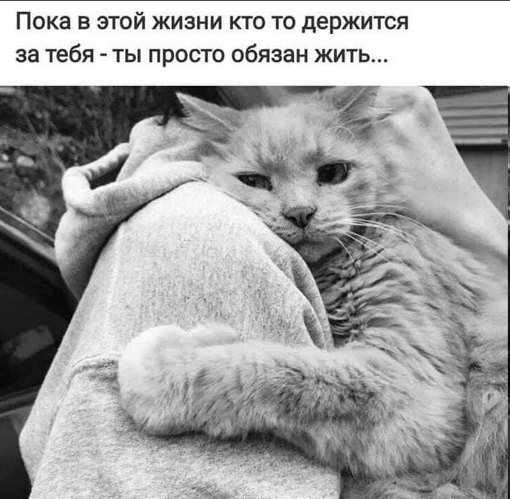 Пока в этой жизни кто-то держится за тебя - ты просто обязан жить...