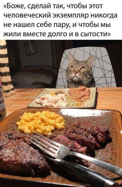 «Боже, сделай так, чтобы этот человеческий экземпляр никогда не нашел себе пару, и чтобы мы жили вместе долго и в сытости»