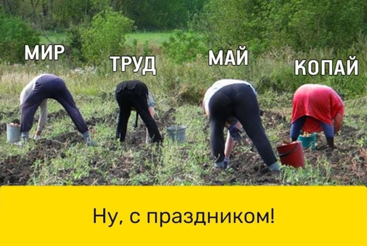 Мир труд май копай
Ну, с праздником!