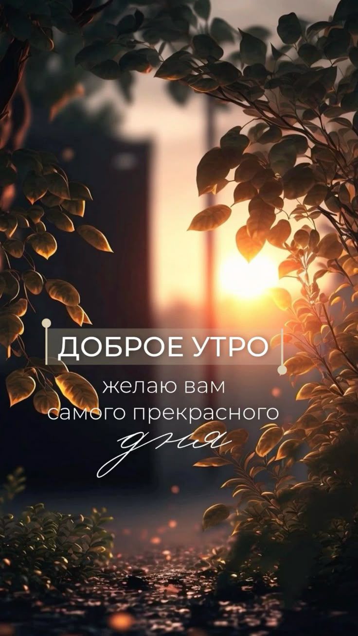 ДОБРОЕ УТРО желаю вам самого прекрасного дня