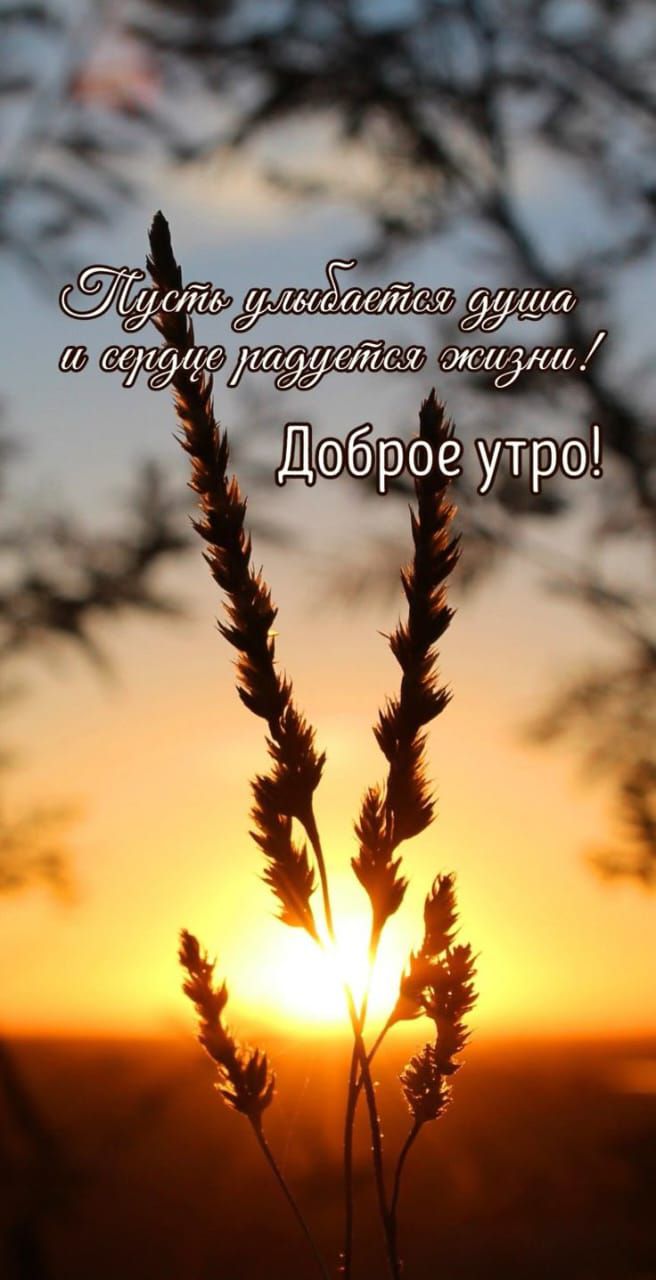 Пусть улыбается душа и сердце радуется жизни!
Доброе утро!