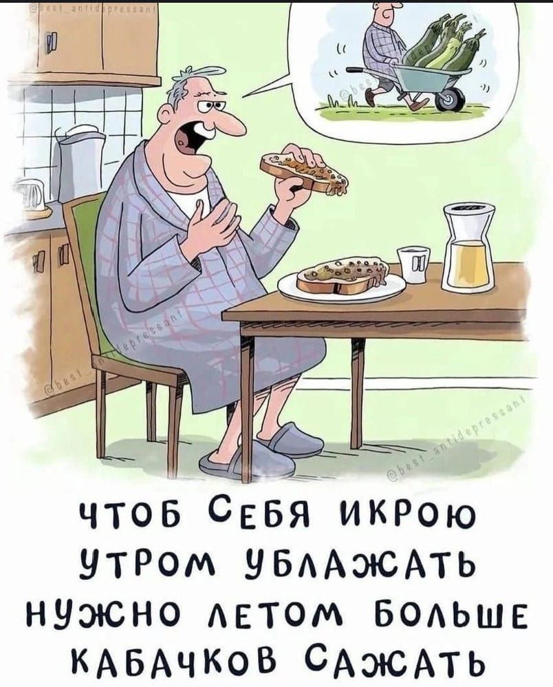 ЧТОБ СЕБЯ ИКРОЮ УТРОМ УБЛАЖАТЬ НУЖНО ЛЕТОМ БОЛЬШЕ КАБАЧКОВ САЖАТЬ