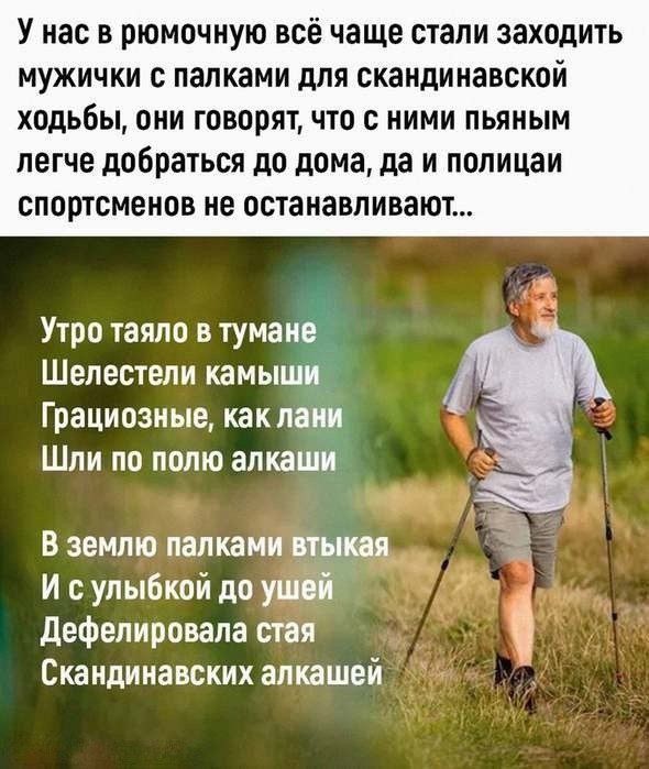 У нас в рюмочную всё чаще стали заходить мужички с палками для скандинавской ходьбы, они говорят, что с ними пьяным легче добраться до дома, да и полиция спортсменов не останавливает...

Утро таяло в тумане
Шелестели камыши
Грациозные, как лани
Шли по полю алкаши

В землю палками втыкаясь
С улыбкой до ушей
Дефелировала стая
Скандинавских алкашей