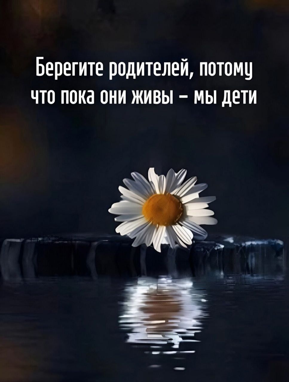 Берегите родителей, потому что пока они живы – мы дети