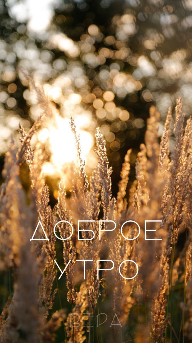 ДОБРОЕ УТРО