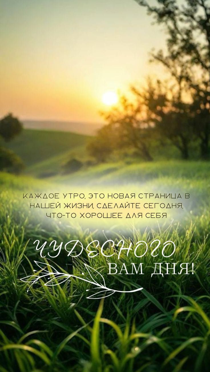 Каждое утро - это новая страница в нашей жизни, сделайте сегодня что-то хорошее для себя.
Чудесного вам дня!