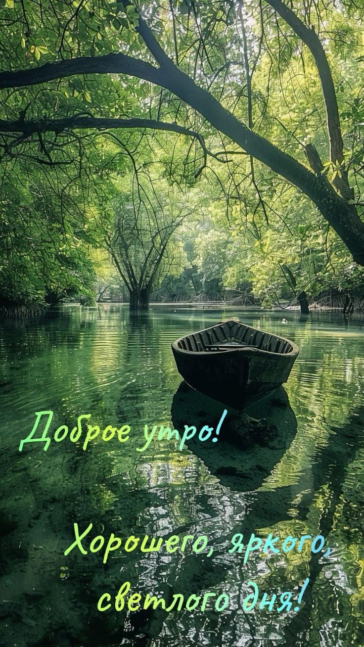 Доброе утро! Хорошего, яркого, светлого дня!
