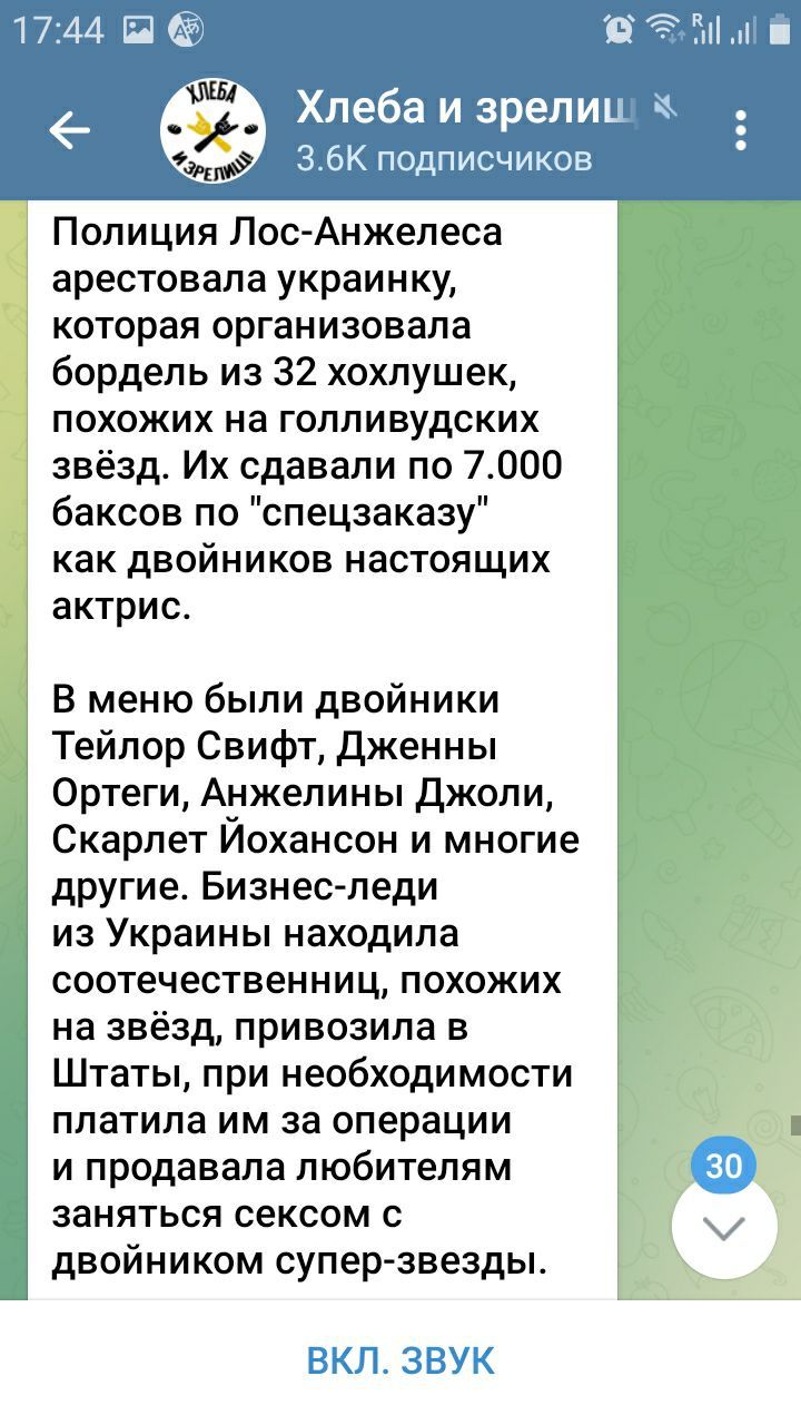 Полиция Лос-Анджелеса арестовала украинку, которая организовала бордель из 32 хохлушек, похожих на голливудских звезд. Их сдавали по 7.000 баксов по 