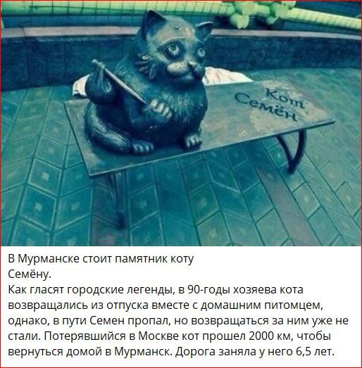В Murmanske стоит памятник коту Семён. Как гласят городские легенды, в 90-е годы хозяева кота возвращались из отпуска вместе с домашним питомцем, однако, в пути Семен пропал, но возвращаться за ним уже не стали. Потерявшись в Москве кот прошел 2000 км, чтобы вернуться домой в Murmansk. Дорога заняла у него 6,5 лет.