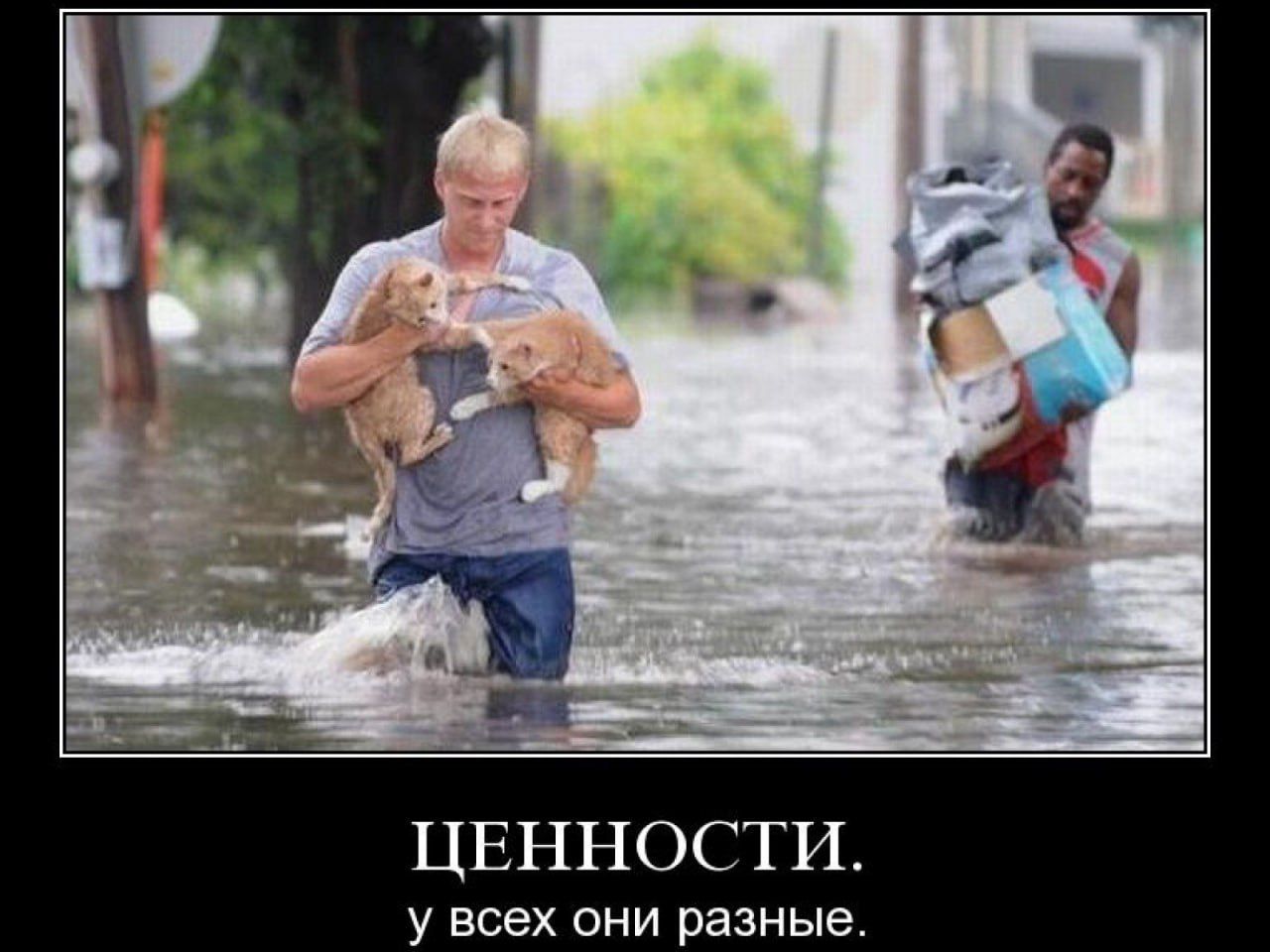ЦЕННОСТИ. у всех они разные.