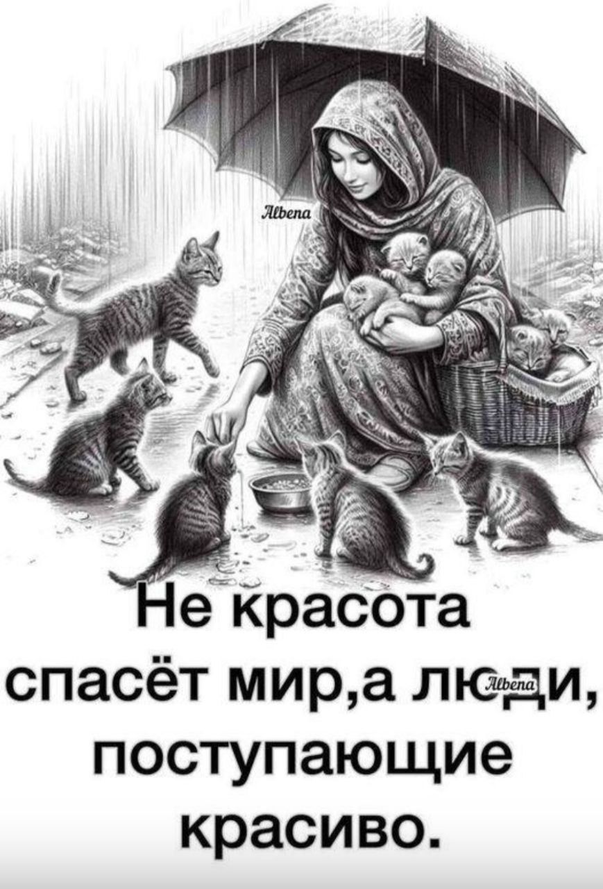 Не красота спасёт мир, а люди, поступающие красиво.
