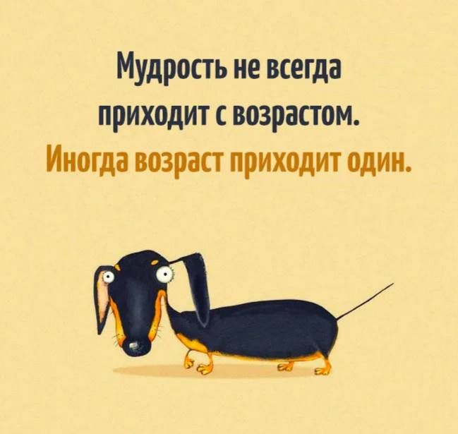 Мудрость не всегда приходит с возрастом.
Иногда возраст приходит один.