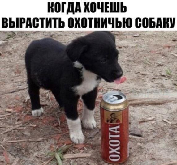 КОГДА ХОЧЕШЬ ВЫРАСТИТЬ ОХОТНИЧЬЮ СОБАКУ