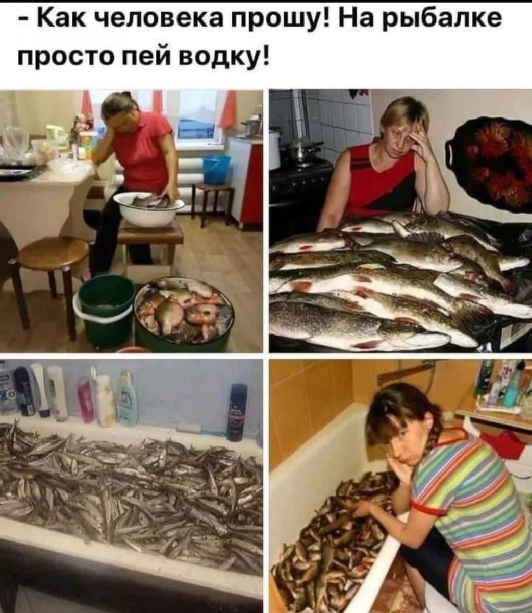 Как человека прошу! На рыбалке просто пей водку!