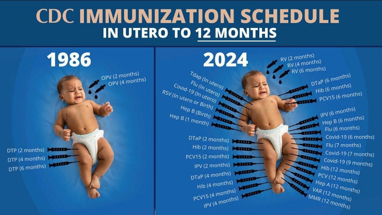 CDC IMMUNIZATION SCHEDULE
IN UTERO TO 12 MONTHS
1986
DPV (2 months)
DTP (2 months)
OPV (2 months)
2024
RV (2 months)
Hib (2 months)
PCV13 (2 months)
DTP (2 months)
HepB (2 months)
COVID-19 (6 months)