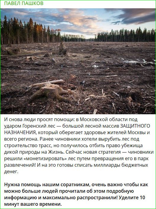 И снова люди просят помощи: в Московской области под ударом Горенский лес — большой лесной массив ЗАЩИТНОГО НАЗНАЧЕНИЯ, который оберегает здоровье жителей Москвы и всего региона. Ранее чиновники хотели вырубить лес под строительством трасс, но получили отбитое право убежать дикой природы на Жизнь. Сейчас новая стратегия — чиновники решили 