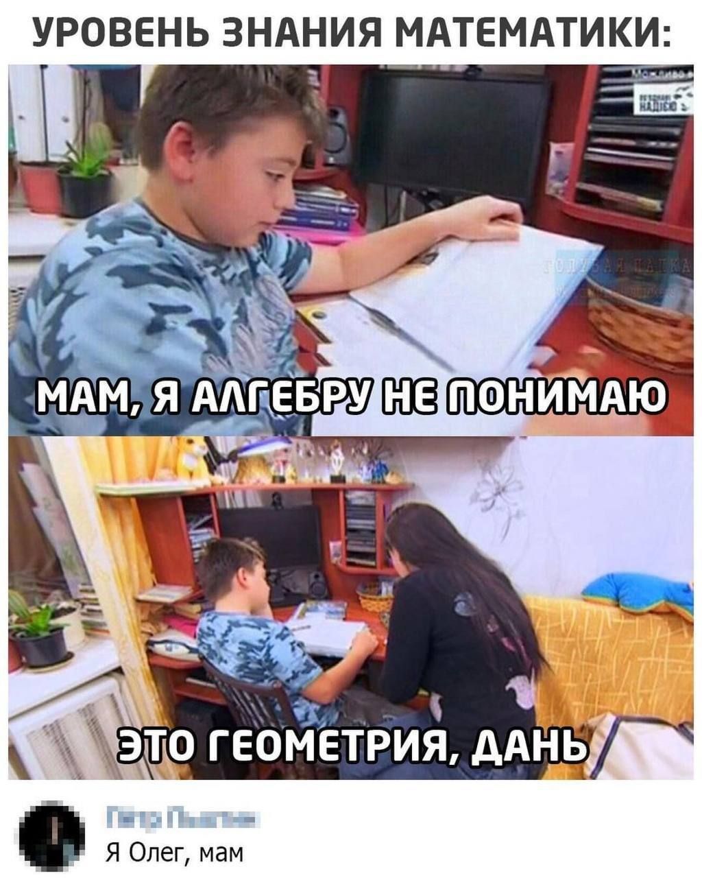 УРОВЕНЬ ЗНАНИЯ МАТЕМАТИКИ:
Мам, я алгебру не понимаю
Это геометрия, Даня

Я Олег, мам