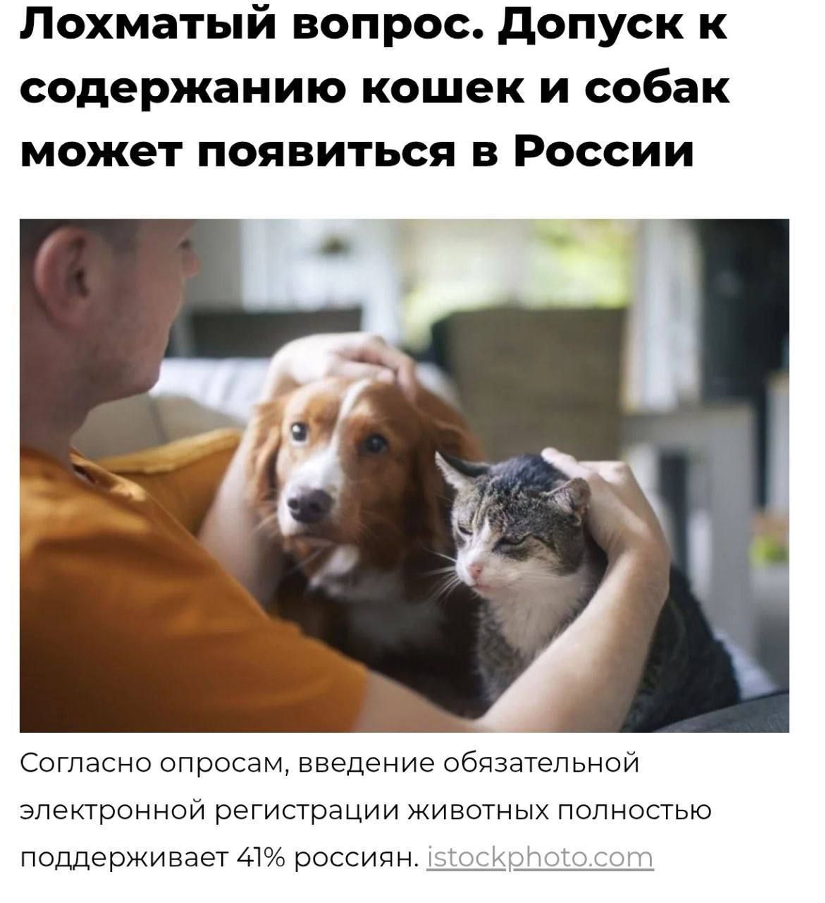 Лохматый вопрос. Допуск к содержанию кошек и собак может появиться в России

Согласно опросам, введение обязательной электронной регистрации животных полностью поддерживает 41% россиян.
