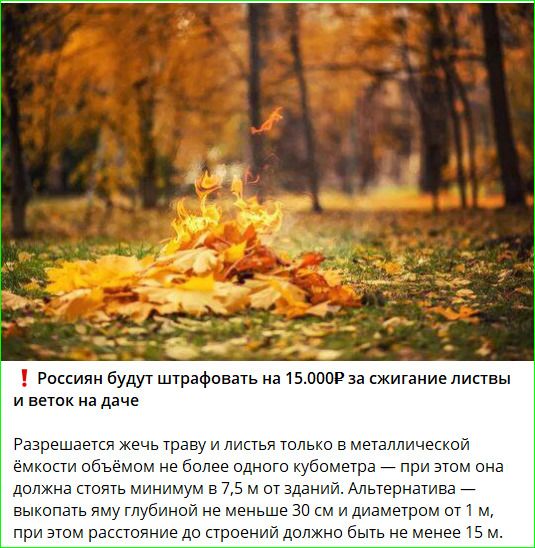 Россиян будут штрафовать на 15.000Р за сжигание листьев и веток на даче

Разрешается жечь траву и листья только в металлической емкости объёмом не более одного кубометра — при этом она должна стоять минимум в 7,5 м от зданий. Альтернатива — выкопать яму глубиной не менее 30 см и диаметром от 1 м, при этом расстояние до стройений должно быть не менее 15 м.