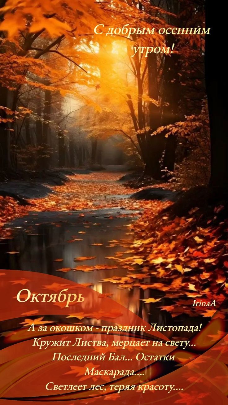 С добрым осенним утром! Октябрь. А за окном — праздник Листопада! Кружит Листва, мерцает на свету... Последний Бал... Остатки Маскарада... Светлеет лес, теряя красоту...