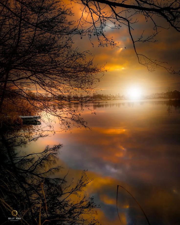 Закат над спокойной водой, силуэты ветвей деревьев