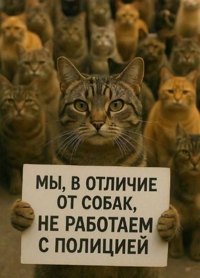 МЫ, В ОТЛИЧИЕ ОТ СОБАК, НЕ РАБОТАЕМ С ПОЛИЦИЕЙ