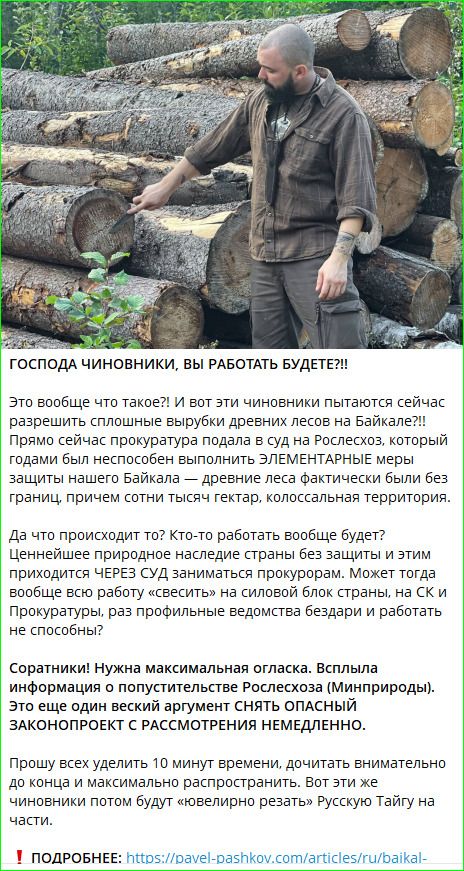 ГОСПОДА ЧИНОВНИКИ, ВЫ РАБОТАТЬ БУДЕТЕ?! Это вообще что такое?! И вот эти чиновники пытаются сейчас разрешить сплошные вырубки древних лесов на Байкале?! Прямо сейчас прокуратура подала в суд на Рослесхоз, который годами был неспособен выполнить элементарные меры защиты нашего Байкала — древние леса фактически были без границ, причем сотни тысяч гектар.