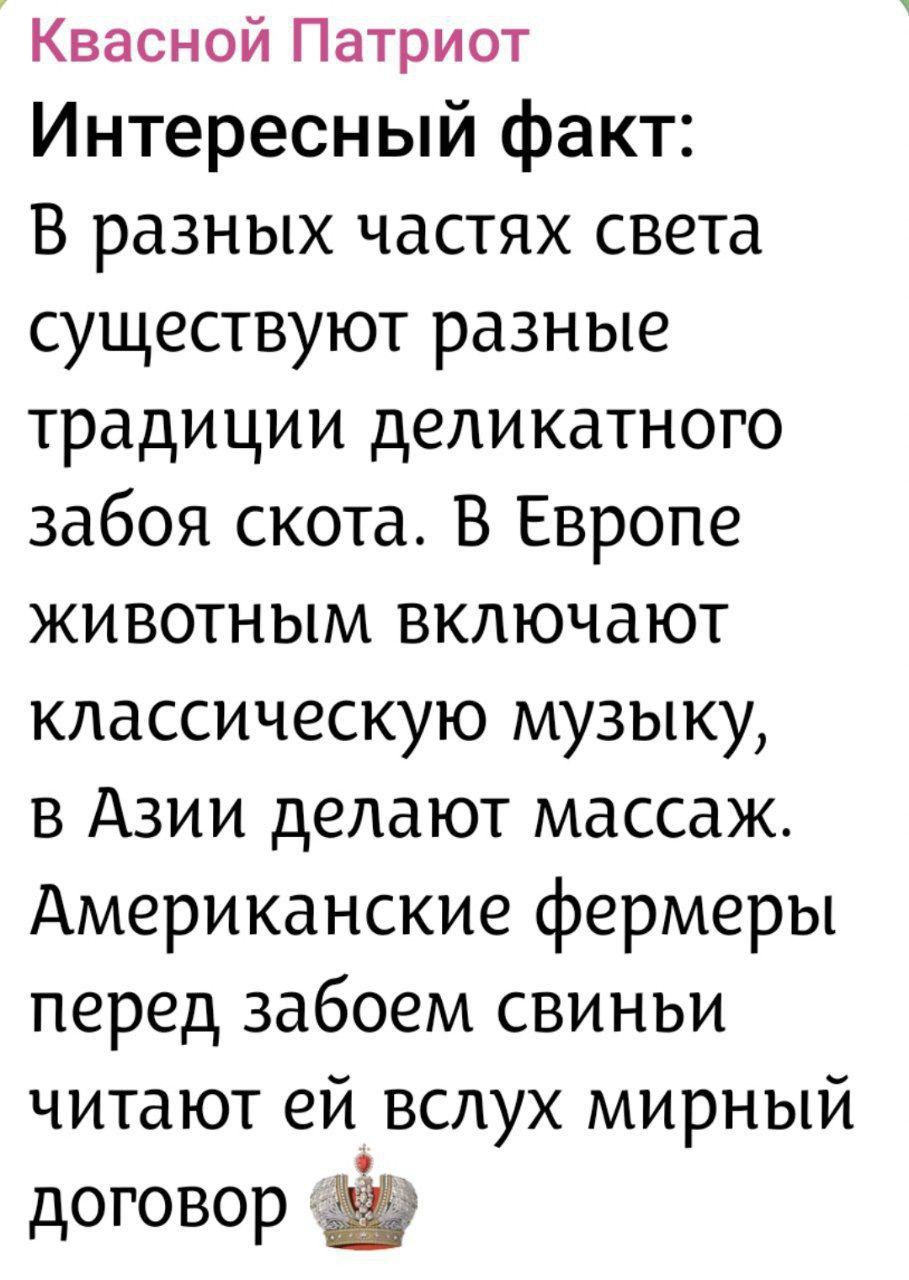 Интересный факт: В разных частях света существуют разные традиции деликатного забоя скота. В Европе животным включают классическую музыку, в Азии делают массаж. Американские фермеры перед забоем свиньи читают ей вслух мирный договор 👑