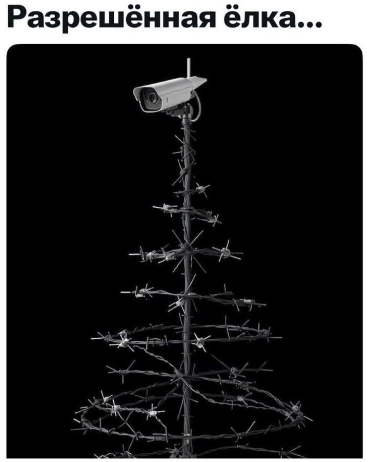 Разрешённая ёлка...