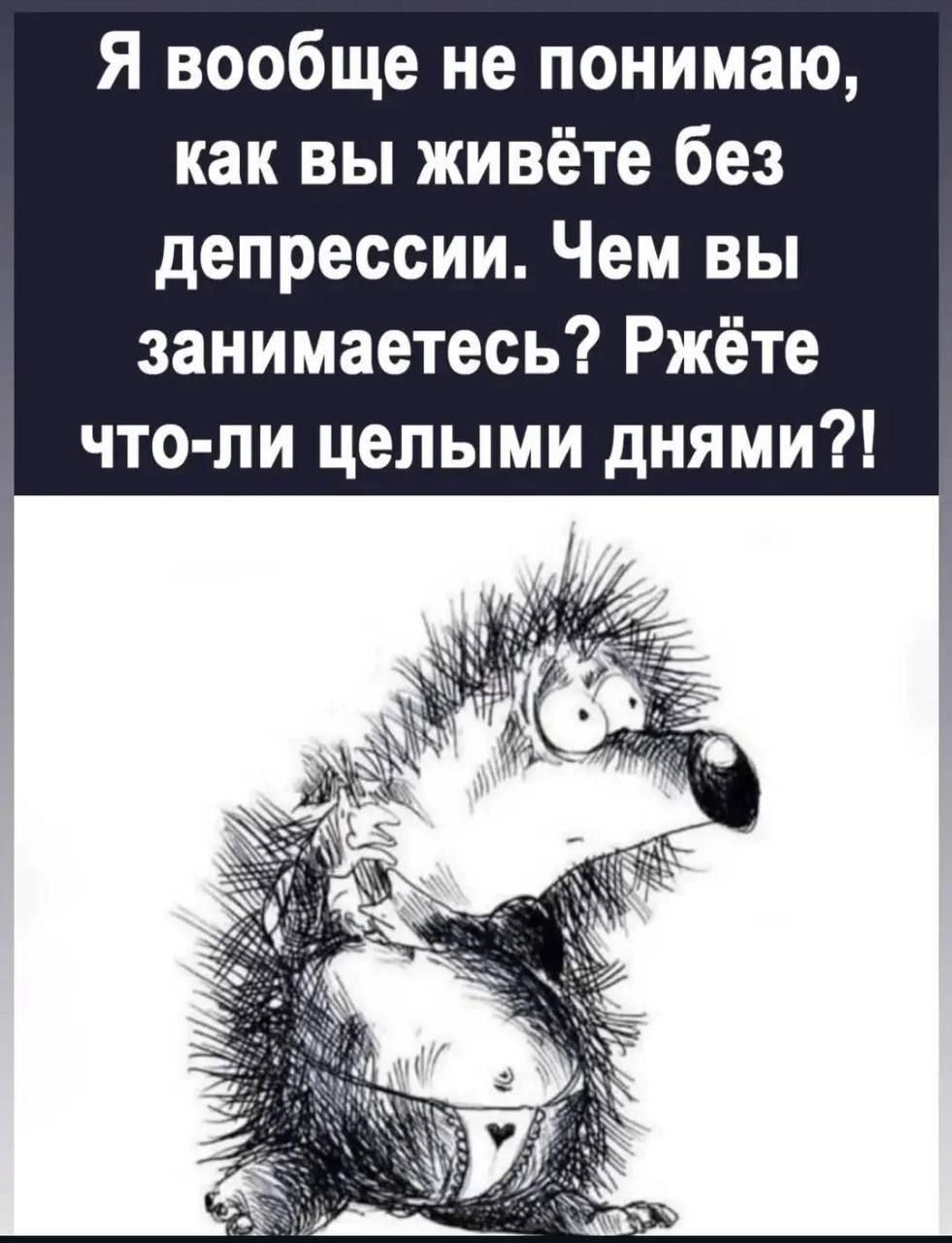 Я вообще не понимаю, как вы живёте без депрессии. Чем вы занимаетесь? Ржёте что-ли целыми днями?!