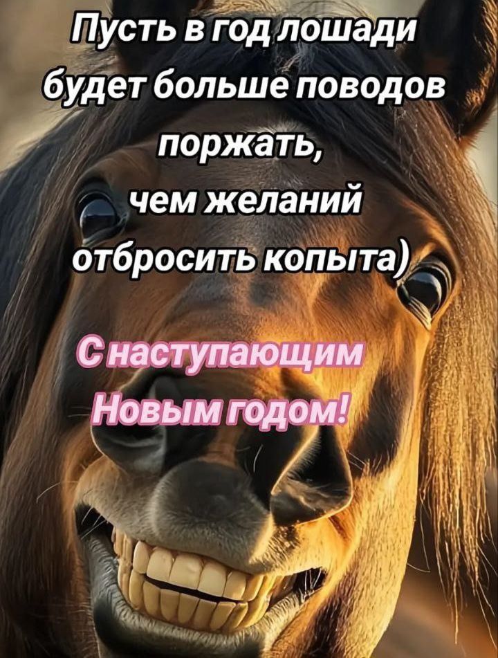 Пусть в год лошади будет больше поводов поржать, чем желаний отбросить копыта) С наступающим Новым годом!
