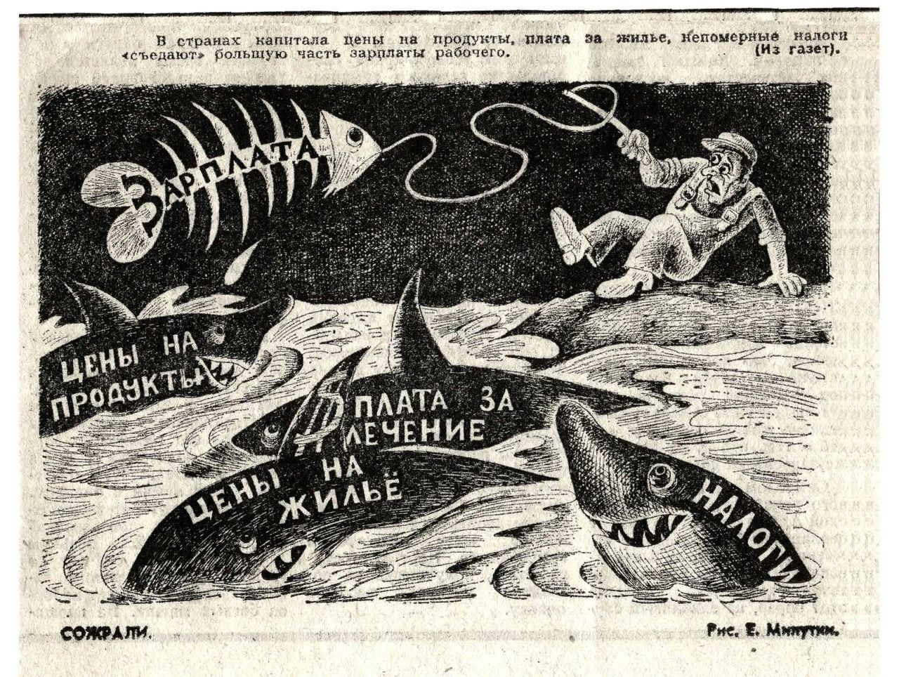 Цены на продукты, плата за лечение, цены на жилье