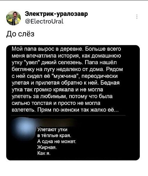 Мой папа вырос в деревне. Больше всего меня впечатлила история, как домашнюю утку 'уел' дикий сельезень. Папа нашёл беглянку на лугу недалеко от дома. Рядом с ней сидел её 'мужчина', переодически улетая и прилетая обратно к ней. Бедная утка так громко клякла и не могла улететь за любимым, потому что была сильно толстой и просто не могла взлететь. Прям по-женски так жалко её... Улетят утки в тёплые края. А одна не может. Жирная. Как я.