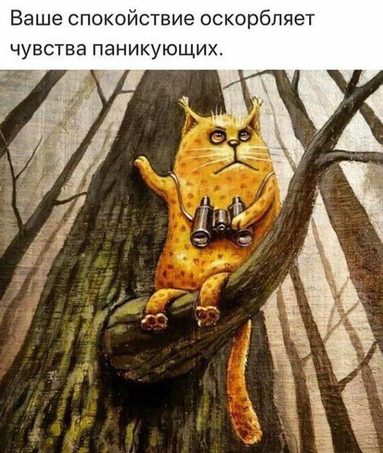 Ваше спокойствие оскорбляет чувства паникующих.