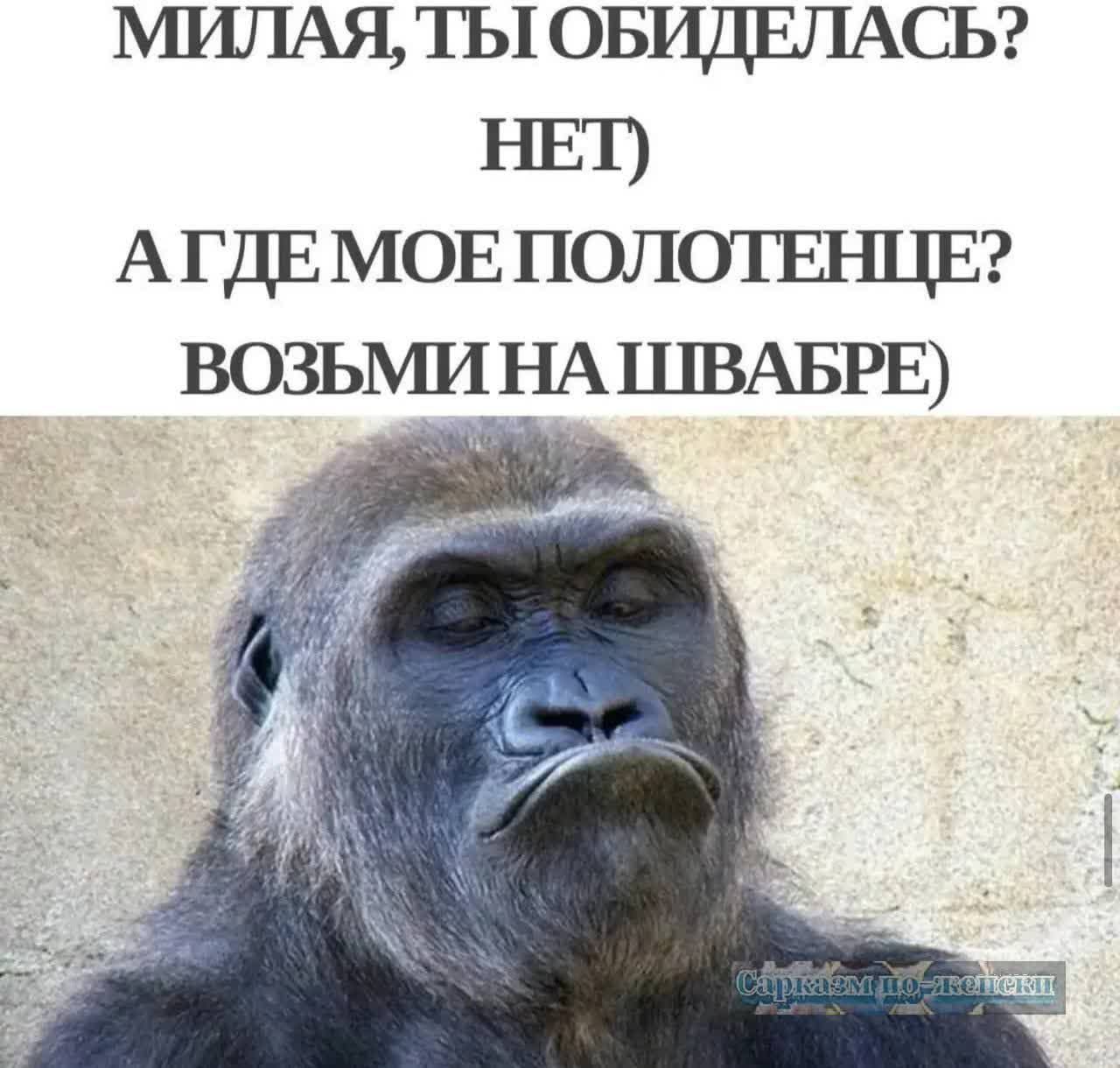 МИЛАЯ, ТЫ ОБИДЕЛАСЬ? НЕТ) А ГДЕ МОЕ МОЕ ПОЛОТЕНЦЕ? Возьми на швабре)