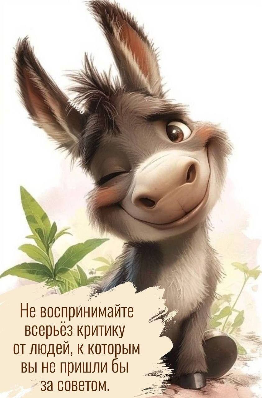 Не воспринимайте всерьёз критику от людей, к которым вы не пришли бы за советом.