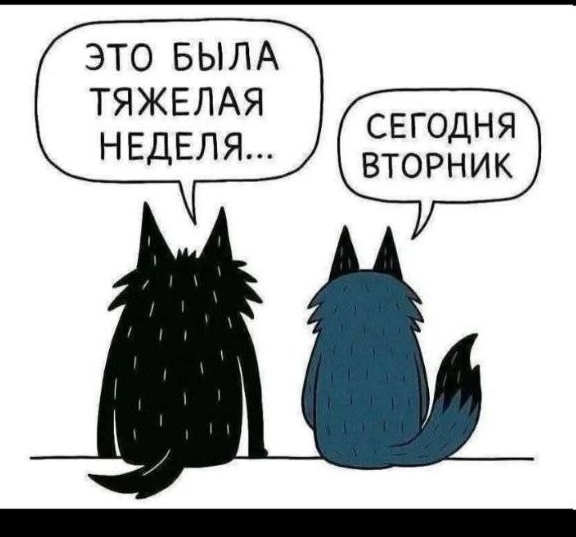 Это была тяжёлая неделя... Сегодня вторник