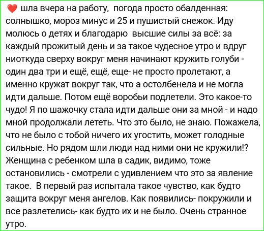 шла вчера на работу, погода обалденная: солнышко, мороз минус 25 и пушистый снег. Иду, благодарю за каждый прожитый день и за такое утро, и вдруг вокруг меня начинает кружить голуби — один за другим, потом воробьи полетели. Люди смотрели, удивлялись. Очень странное утро.