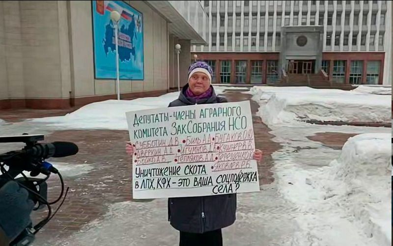 ДЕПУТАТЫ-ЧЛЕНЫ АГРАРНОГО КОМИТЕТА ЗАКСОБРАНИЯ НСО СУББОТИН Д.В. БИЛЬ А.А. БУГАКОВОЮ АВЕРКИН А.А. ИГУМНОВ А.В. КУШНАРЕВ В.В. БОЙКО А.В. ТЕПЛЯКОВ А.А. ТЕРЕЩЕНКО К. УНИЧТОЖЕНИЕ СКОТА В ЛПХ, КФХ - ЭТО ВАША СОЦПОДДЕРЖКА СЕЛА ?