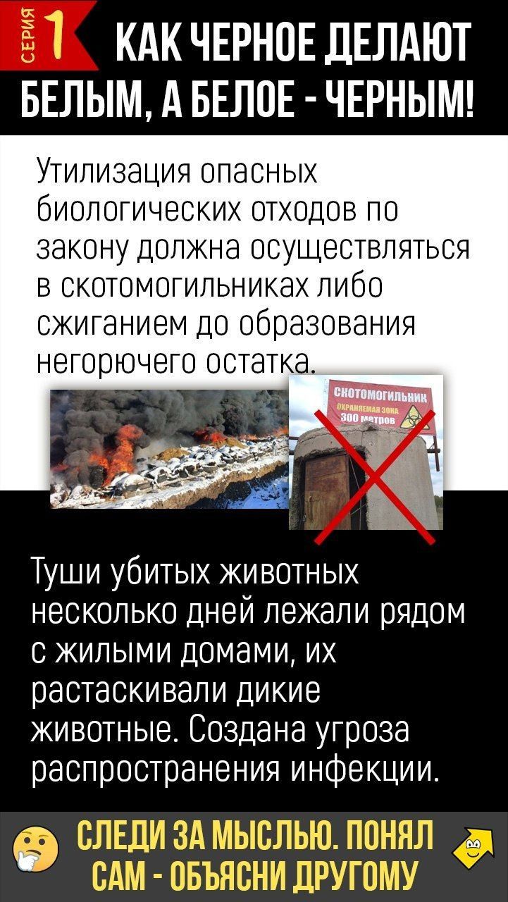 СЕРИЯ 1 КАК ЧЕРНОЕ ДЕЛАЮТ БЕЛЫМ, А БЕЛОЕ - ЧЕРНЫМ!
Утилизация опасных биологических отходов по закону должна осуществляться в скотомогильниках либо сжиганием до образования негорючего остатка.
СКОТОМОГИЛЬНИК ОХРАНЯЕМАЯ ЗОНА 300 МЕТРОВ
Туши убитых животных несколько дней лежали рядом с жилыми домами, их растаскивали дикие животные. Создана угроза