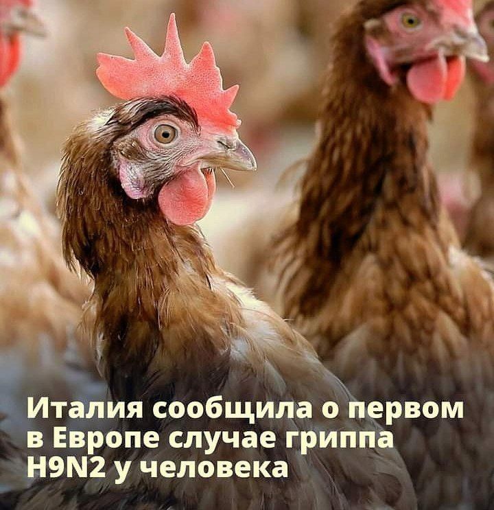 Италия сообщила о первом в Европе случае гриппа H9N2 у человека